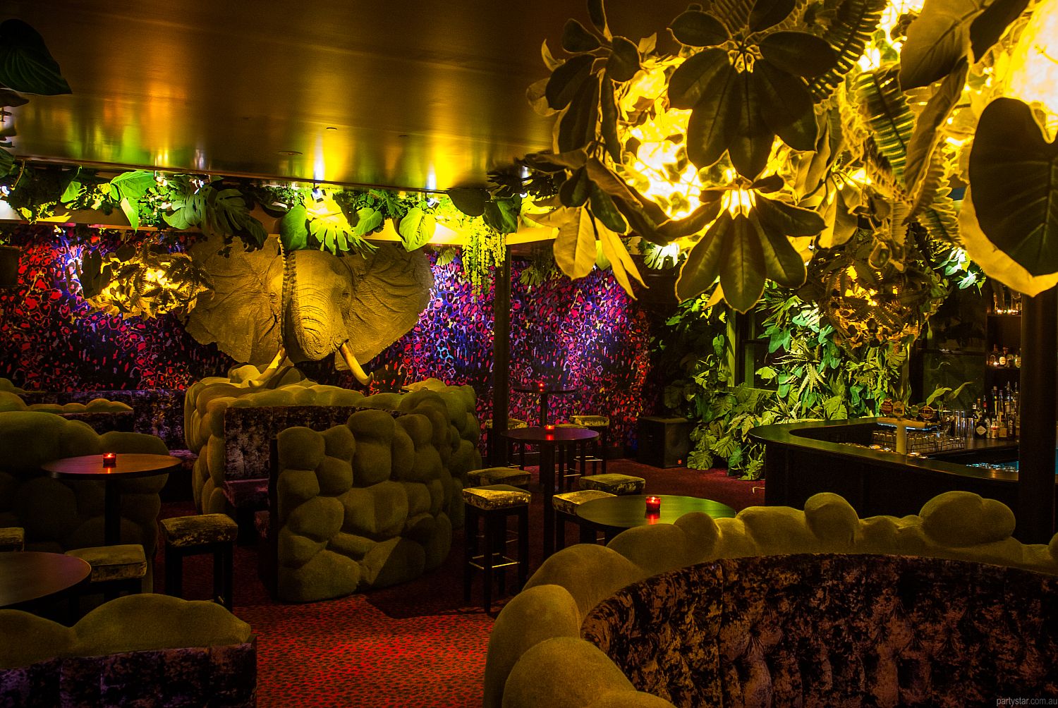 Carlton Club, Melbourne, VIC. Venue photo #2